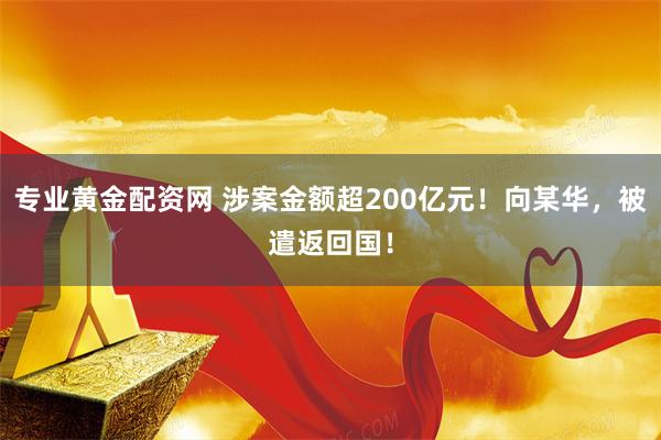 专业黄金配资网 涉案金额超200亿元！向某华，被遣返回国！