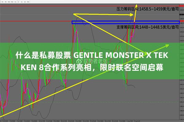 什么是私募股票 GENTLE MONSTER X TEKKEN 8合作系列亮相，限时联名空间启幕