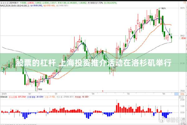 股票的杠杆 上海投资推介活动在洛杉矶举行