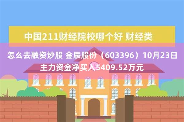 怎么去融资炒股 金辰股份（603396）10月23日主力资金净买入5409.52万元