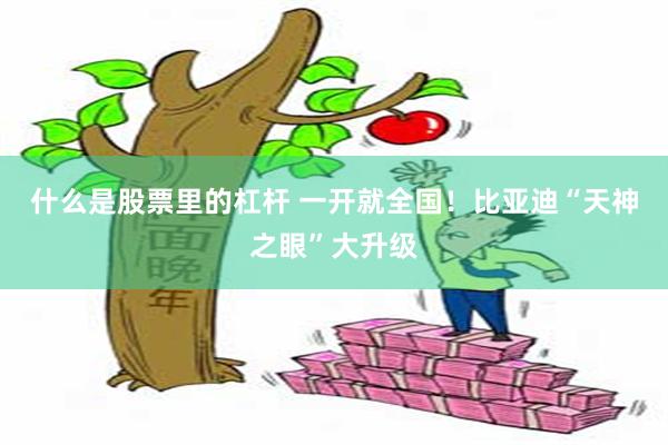 什么是股票里的杠杆 一开就全国！比亚迪“天神之眼”大升级